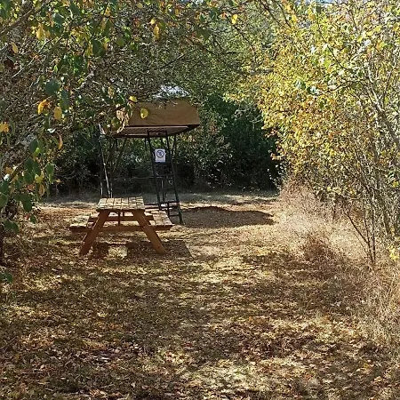 Campeggio Tente Perchée Kenya Mas De Bouzou *